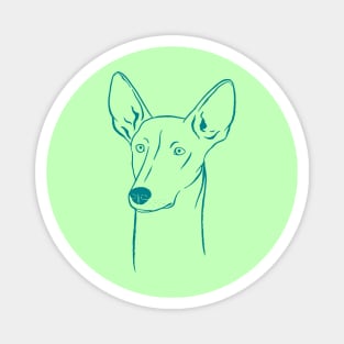 Ibizan Hound (Olive Green and Teal) Magnet